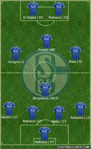 FC Schalke 04 Formation 2014