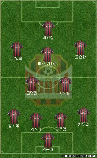 FC Seoul Formation 2014