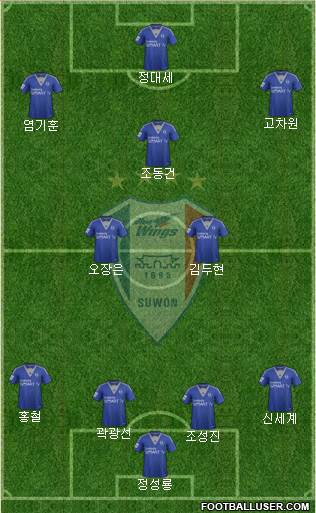 Suwon Samsung Blue Wings Formation 2014