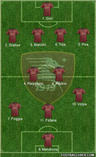 Salernitana Formation 2014