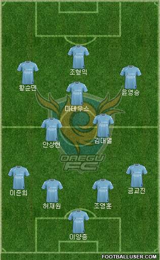 Daegu FC Formation 2014