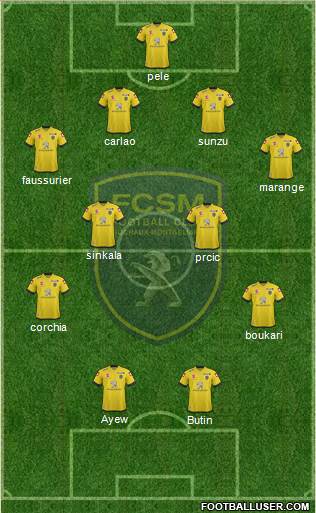 FC Sochaux-Montbéliard Formation 2014