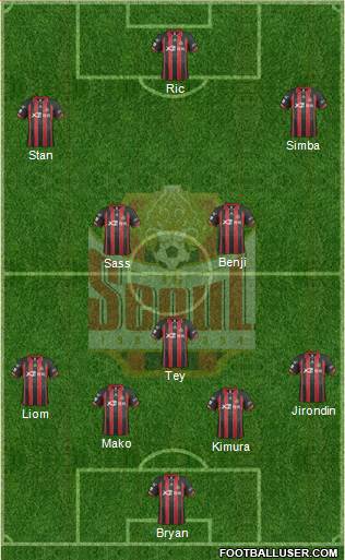 FC Seoul Formation 2014