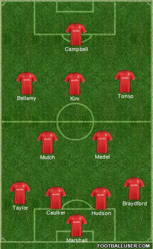 Cardiff City Formation 2014