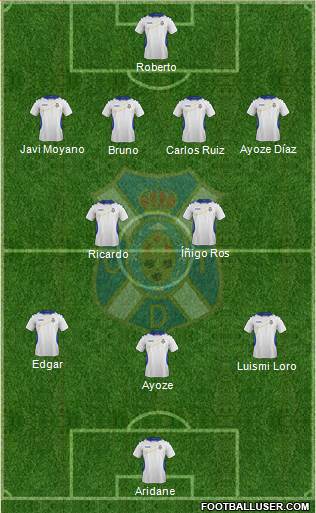 C.D. Tenerife S.A.D. Formation 2014