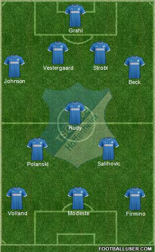 TSG 1899 Hoffenheim Formation 2014