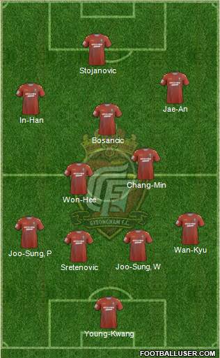 Gyeongnam FC Formation 2014