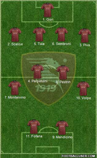 Salernitana Formation 2014