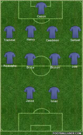 New York Red Bulls Formation 2014