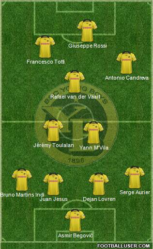 BSC Young Boys Formation 2014