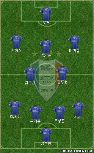 Suwon Samsung Blue Wings Formation 2014