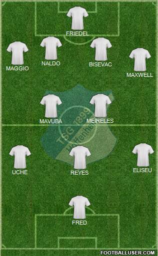 TSG 1899 Hoffenheim Formation 2014