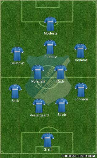 TSG 1899 Hoffenheim Formation 2014