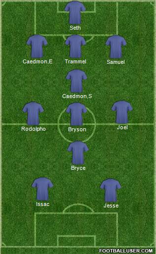 New York Red Bulls Formation 2014