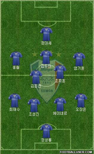 Suwon Samsung Blue Wings Formation 2014