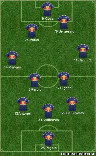 New York Red Bulls Formation 2014