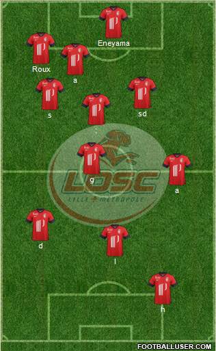 LOSC Lille Métropole Formation 2014