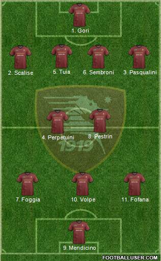 Salernitana Formation 2014