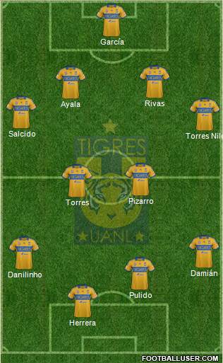 Club Universitario de Nuevo León Formation 2014