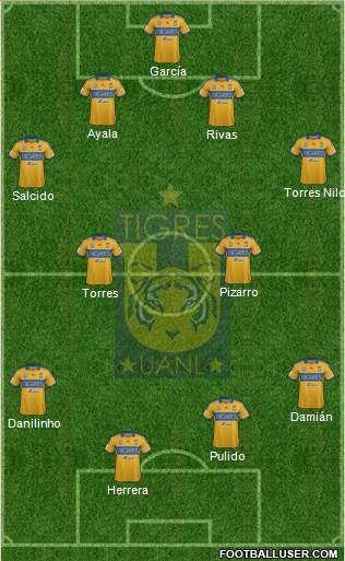 Club Universitario de Nuevo León Formation 2014