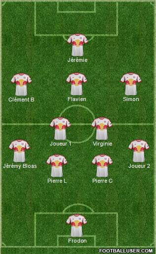 New York Red Bulls Formation 2014