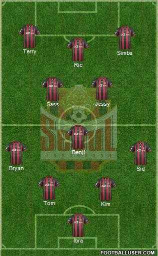 FC Seoul Formation 2014