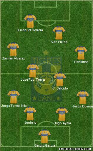 Club Universitario de Nuevo León Formation 2014