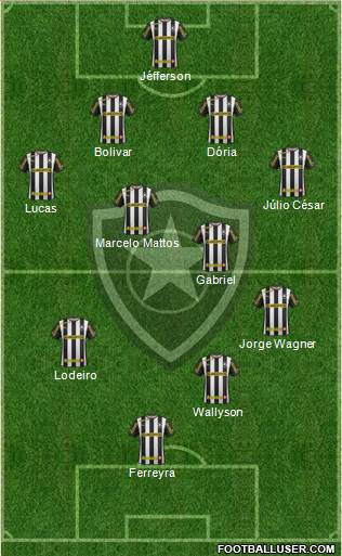 Botafogo FR Formation 2014