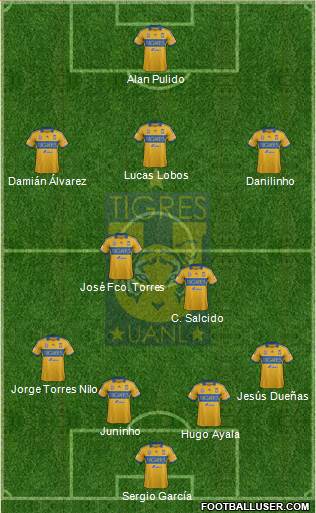 Club Universitario de Nuevo León Formation 2014