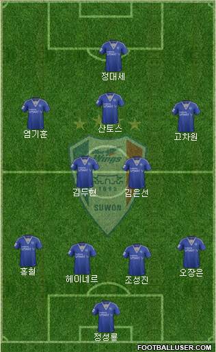 Suwon Samsung Blue Wings Formation 2014