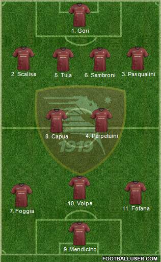 Salernitana Formation 2014