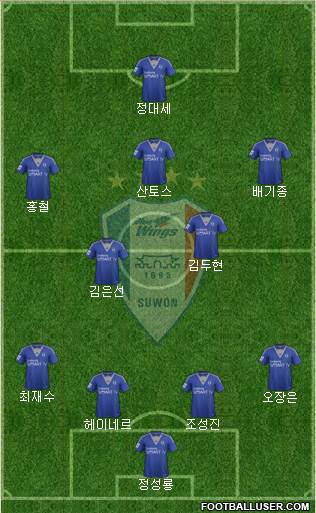 Suwon Samsung Blue Wings Formation 2014