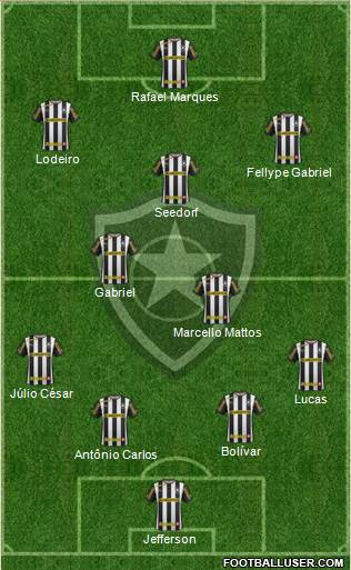 Botafogo FR Formation 2014