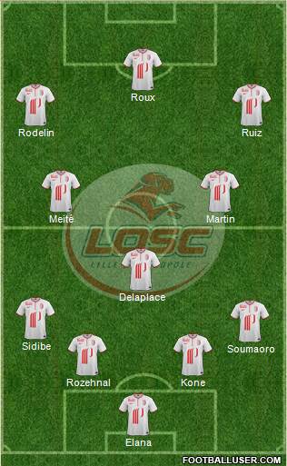 LOSC Lille Métropole Formation 2014