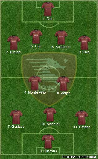 Salernitana Formation 2014