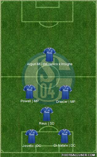 FC Schalke 04 Formation 2014