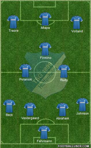 TSG 1899 Hoffenheim Formation 2014