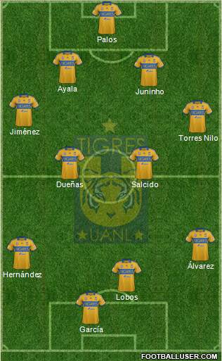 Club Universitario de Nuevo León Formation 2014