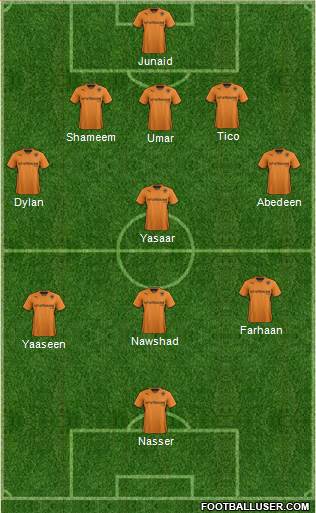 Wolverhampton Wanderers Formation 2014