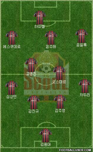 FC Seoul Formation 2014