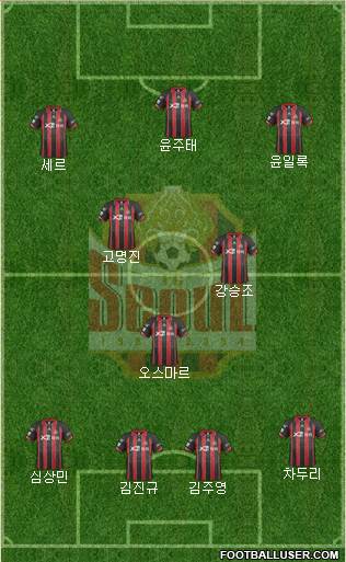 FC Seoul Formation 2014