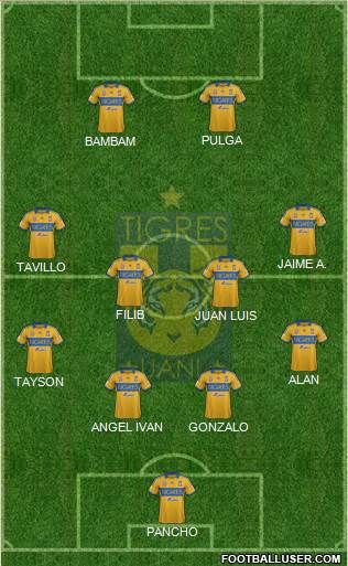 Club Universitario de Nuevo León Formation 2014