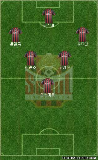 FC Seoul Formation 2014