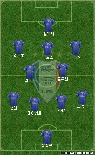 Suwon Samsung Blue Wings Formation 2014