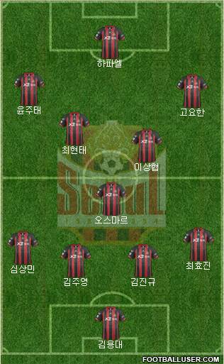 FC Seoul Formation 2014