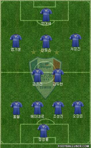 Suwon Samsung Blue Wings Formation 2014