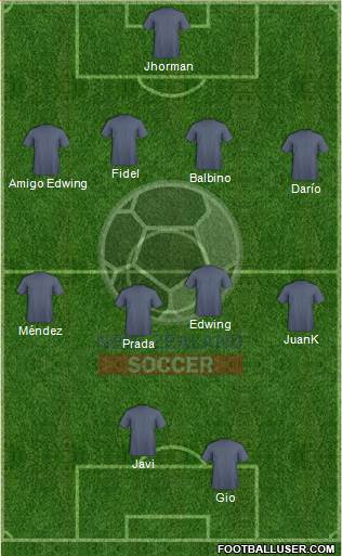 New Zealand Formation 2014