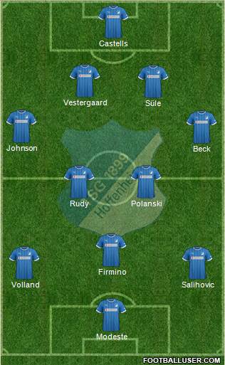 TSG 1899 Hoffenheim Formation 2014