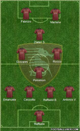 Salernitana Formation 2014