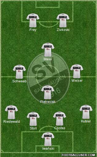 SV Sandhausen Formation 2014